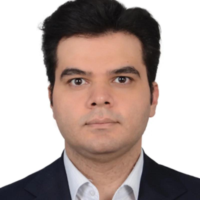 محمد حمیدیان شورمستی