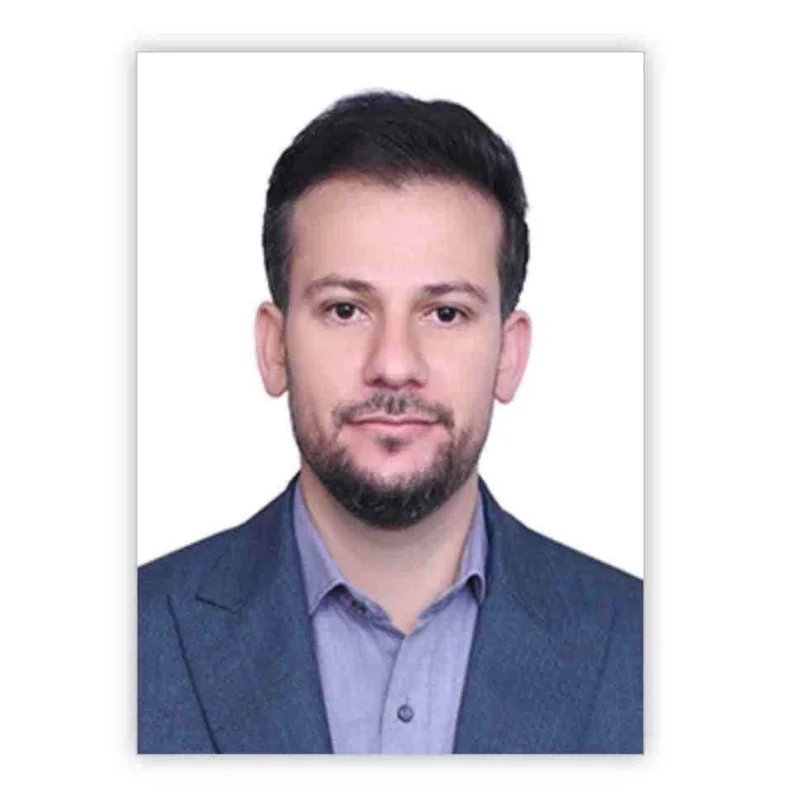 حامد احمدی