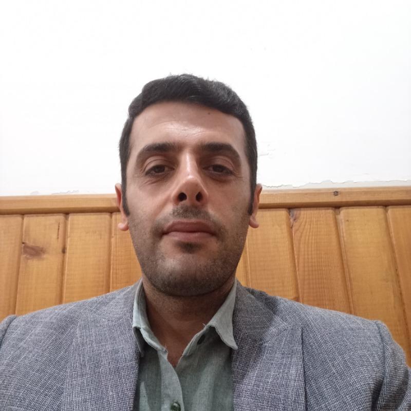وحید قلی زاده