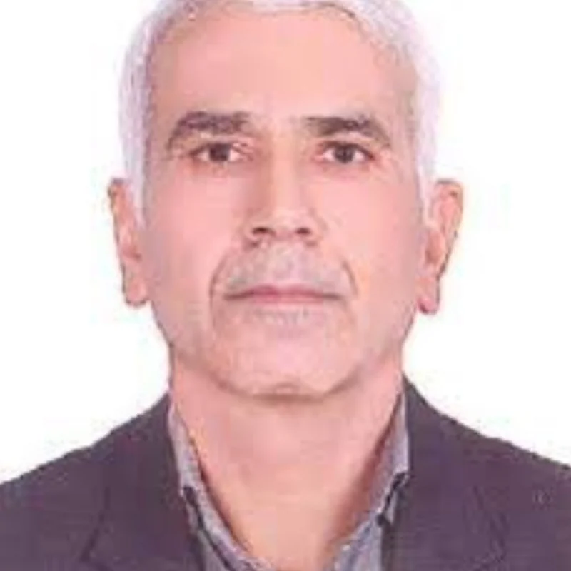 سید محمد موسوی