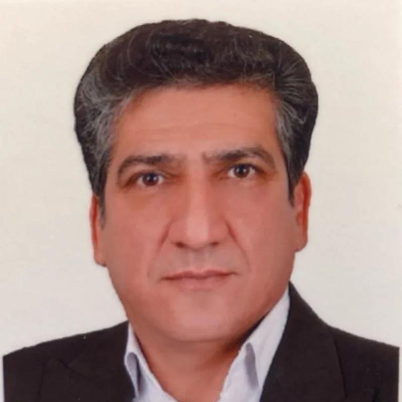محمد حسین زارع